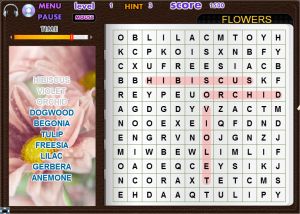 Online Word Search Puzzles - Find Words 4th Grade and Higher