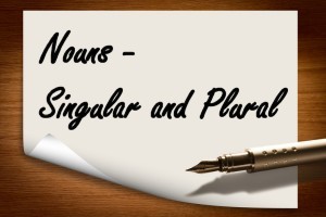 Singular and plural nouns lesson